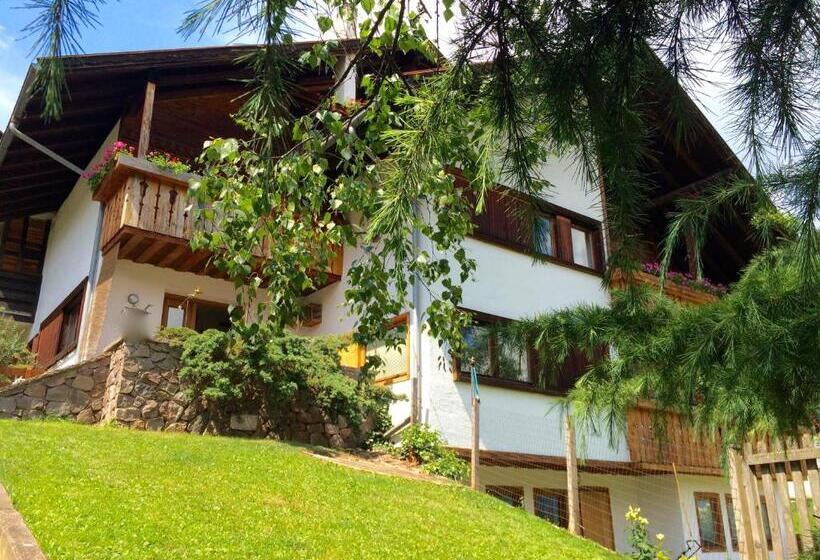Апартаменты 1 Спальня с Видом, B&b Pichler Casa