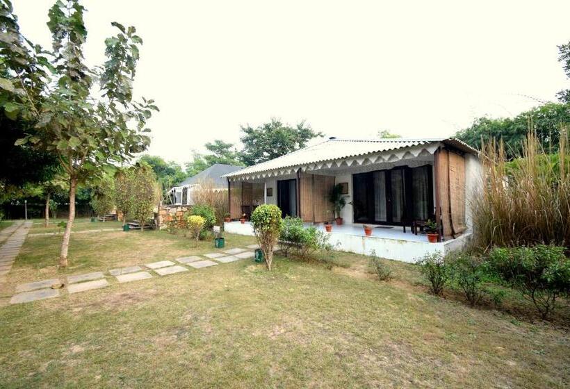 带大床的标准间, Sultan Bagh Resort By The Sky Imperial