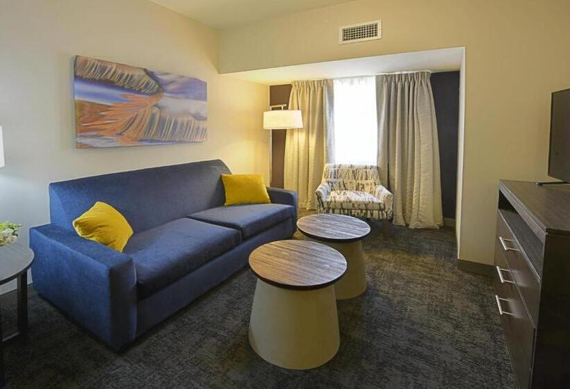 Люкс 2 Спальни, Staybridge Suites   Little Rock   Medical Center, An Ihg