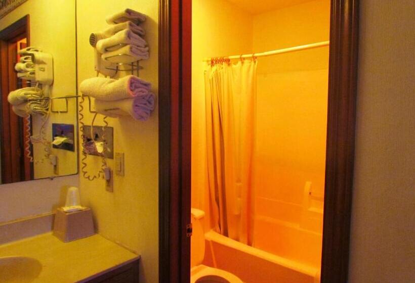 Cameră Deluxe, Travel Inn & Suites