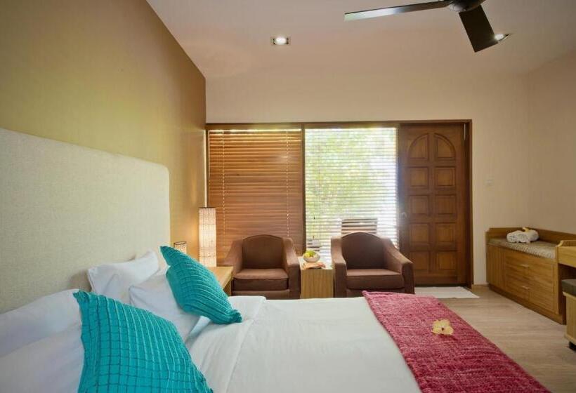 اتاق استاندارد با چشم‌انداز دریا, Eriyadu Island Resort