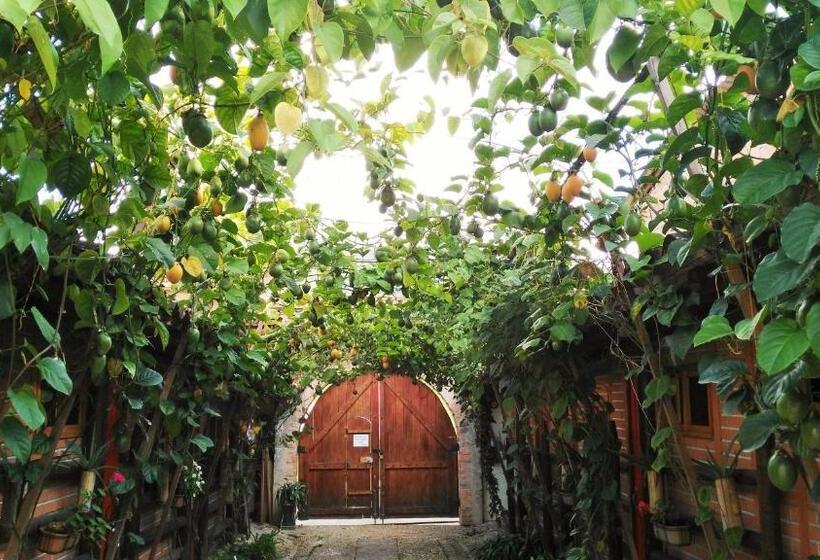 Номер Стандарт, Kantarrana Urbana Jardin