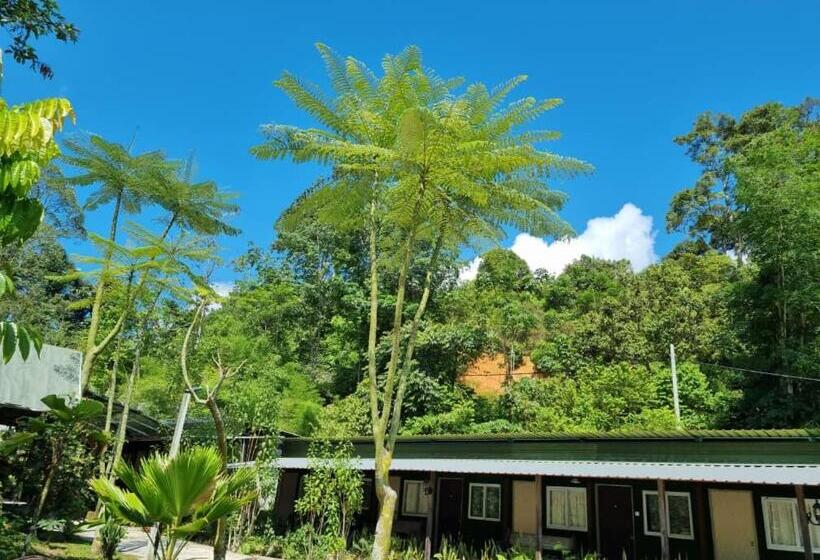 스탠다드 룸, Rockforest Chalet