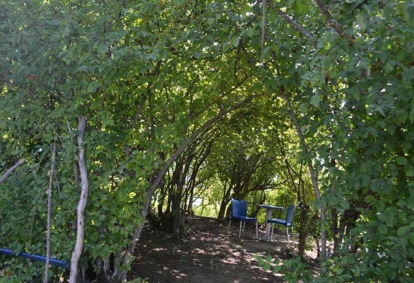 اتاق استاندارد چهار تخته, Camping & Guest House Murataj