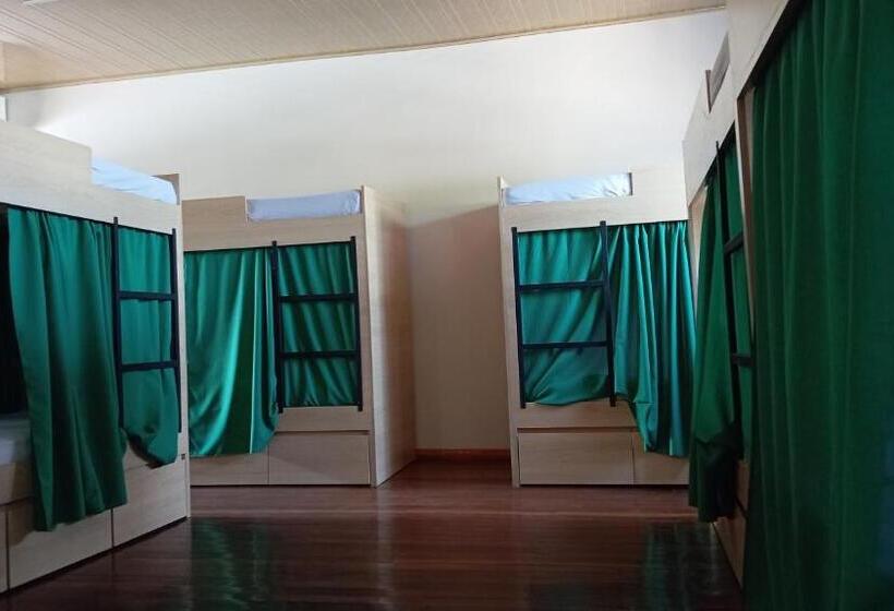 공용 욕실 구비 공동 객실 내의 침대, Angatu Hostel Service