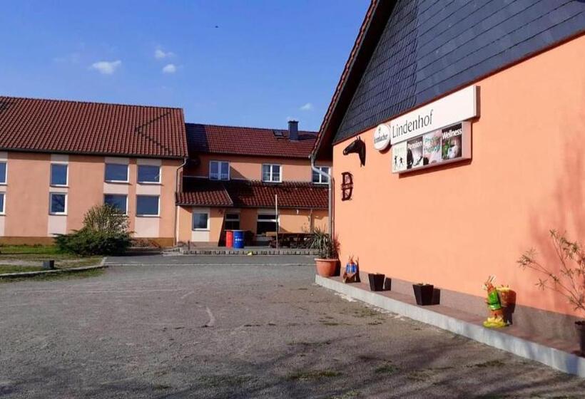 Номер Стандарт Индивидуальный, Pension Lindenhof Drabsch