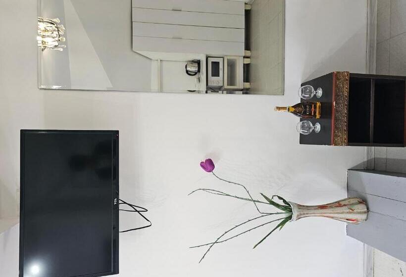 آپارتمان 1 خوابه, Grey Studio