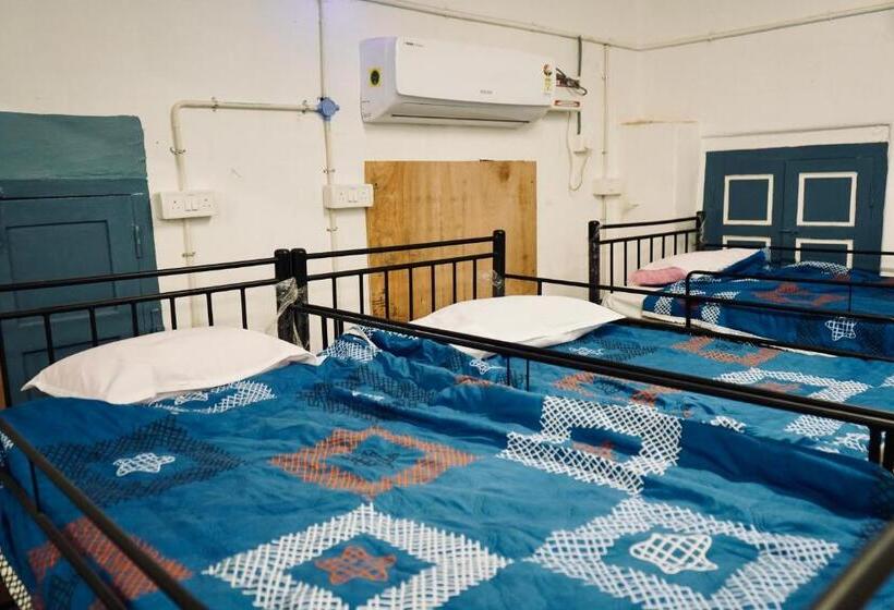 ルームシェアのワンベッド, Dormnest