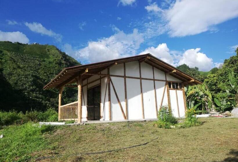 스탠다드 룸, Cabaña Nido De Amazilia