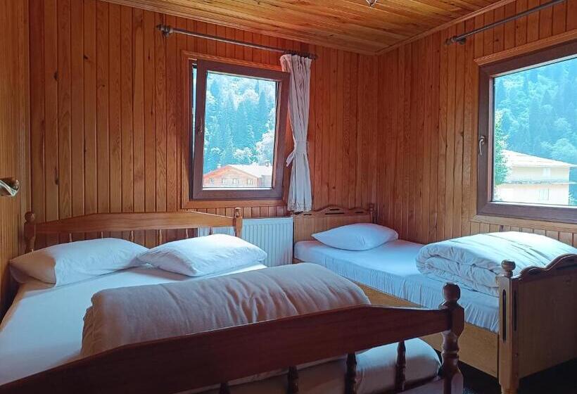 اتاق استاندارد, Ayder Petek Apart Otel