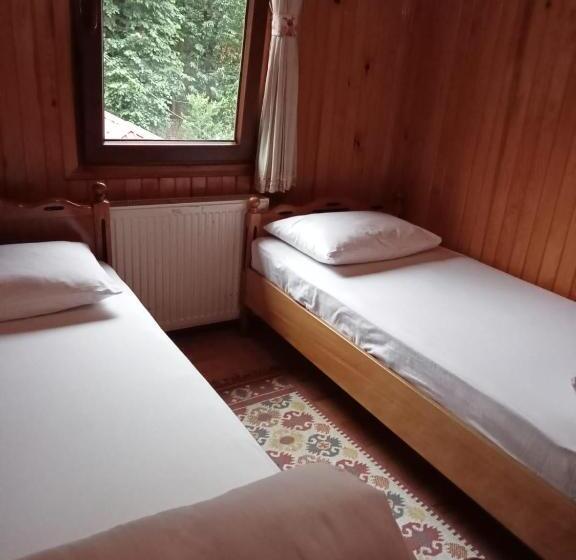 اتاق استاندارد چهار تخته, Ayder Petek Apart Otel