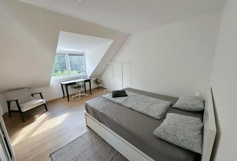 Quarto Estandar, Biomade