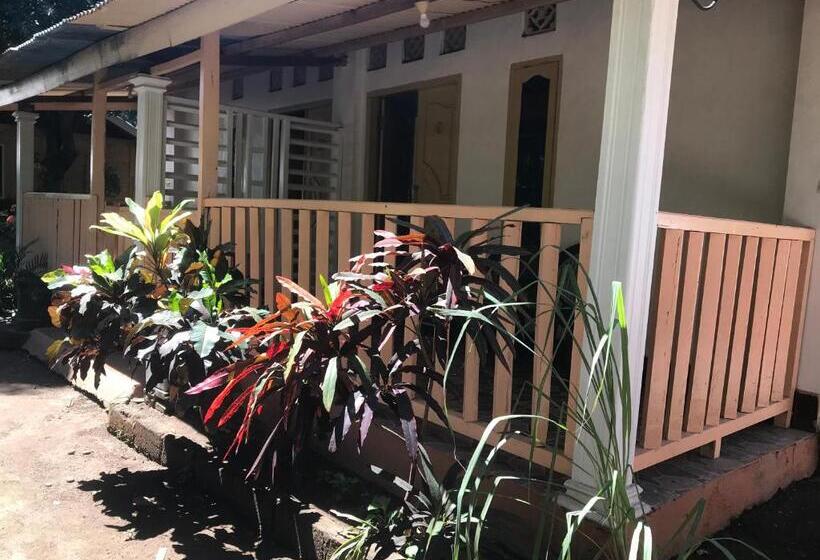 Номер Стандарт, Pondok Gili Lampu