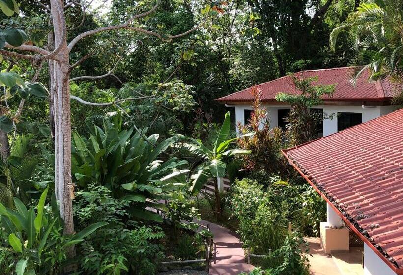 수피리어 스위트 바다 전망, Casa Del Toucan