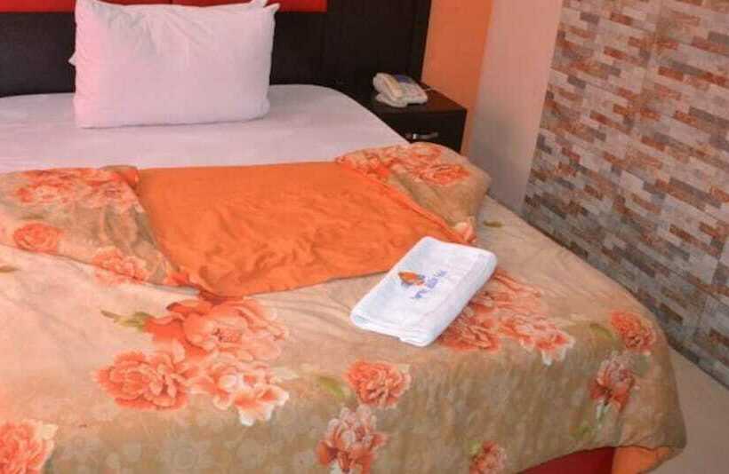 استودیوی لوکس, Springhills Hotels Limited