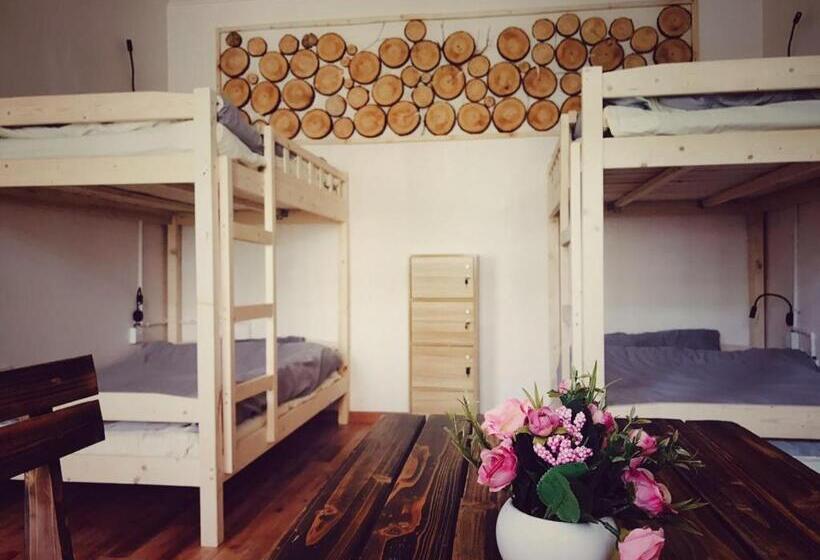 Кровать в Общей Комнате, The Moon Bird Hostel