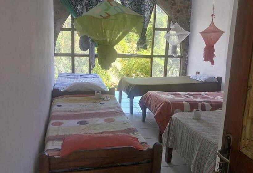تختخواب در اتاق مشترک, Lobo Hostel   Rurrenabaque
