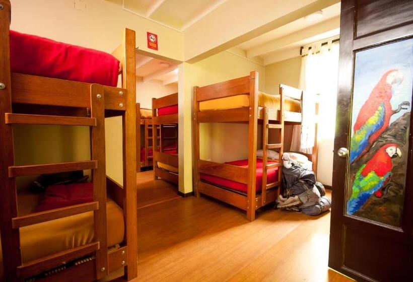 공동 객실, Pariwana Hostel Lima
