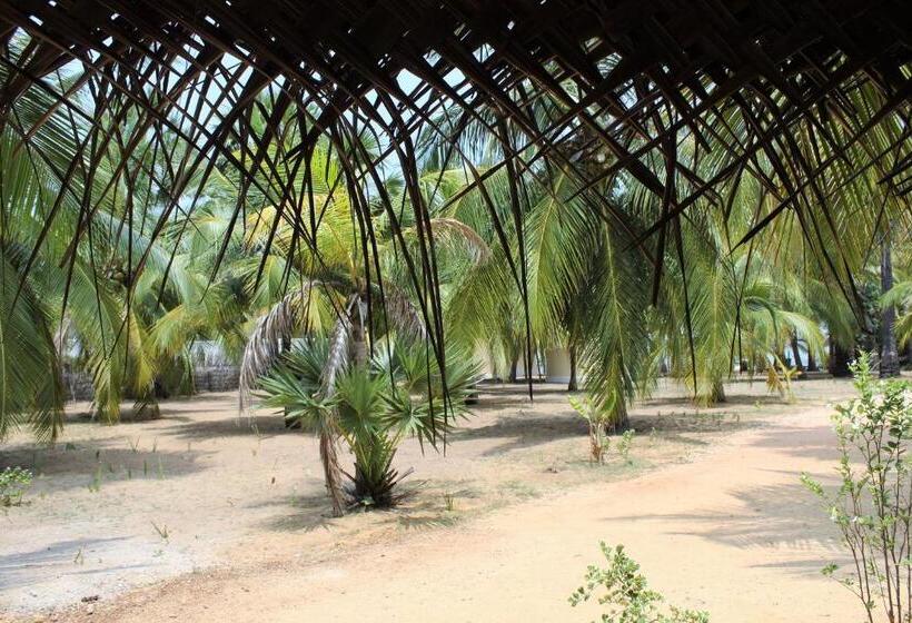 اتاق خانوادگی, Anawasal