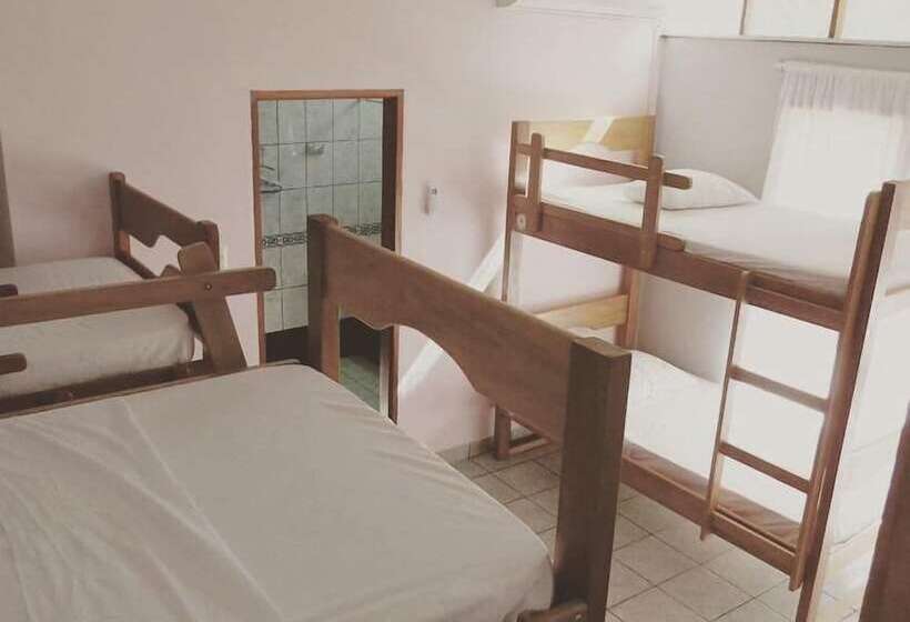 공동 객실, Amazonas Green Hostel