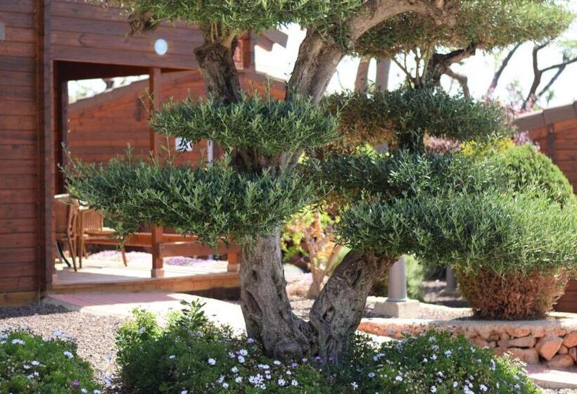 بنجلو قياسى, Camping Ribamar