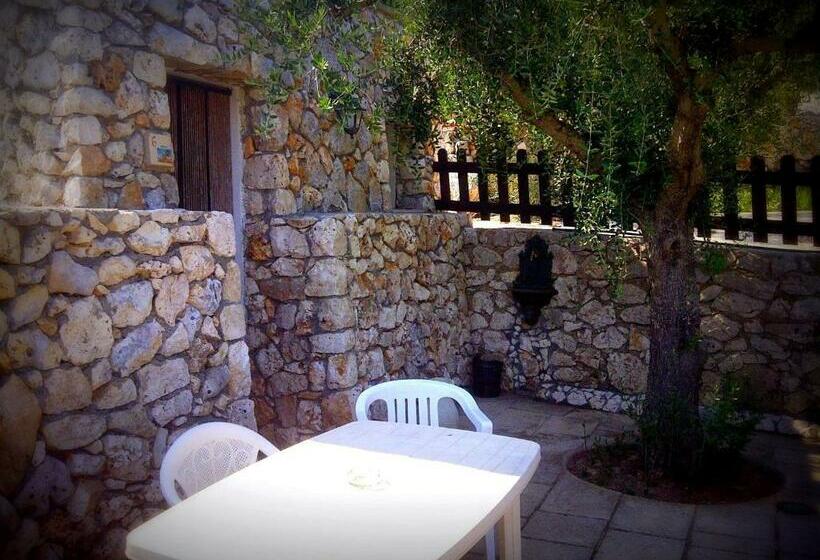 经济房, Amoru Bed & Breakfast