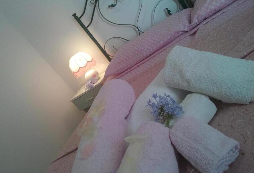 经济房, Amoru Bed & Breakfast