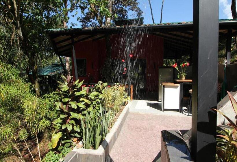 디럭스 방갈로, Oasis De Las Palmas