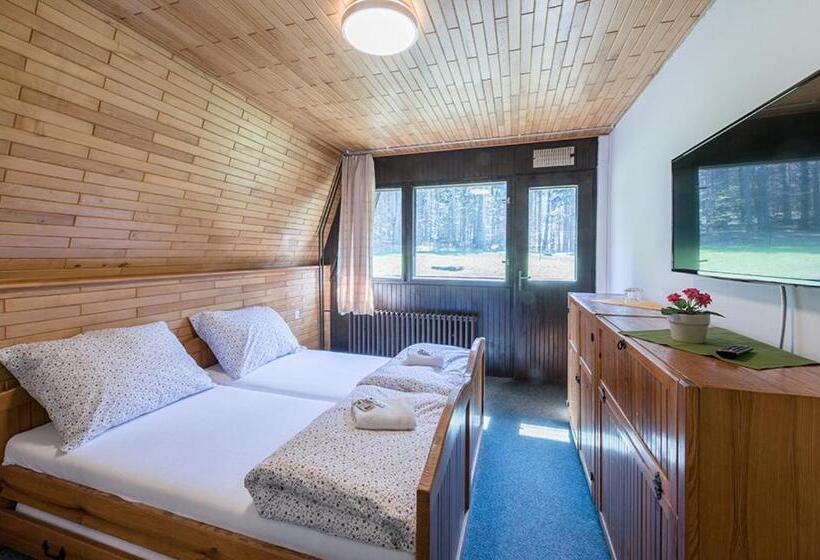 Номер Стандарт, Pod šaumburkem
