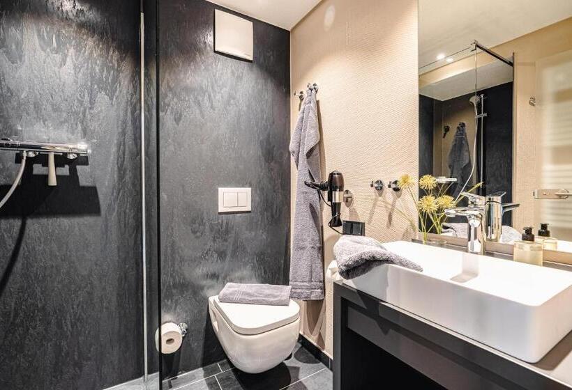 Номер Стандарт Индивидуальный с Балконом, Arthotel Bakker