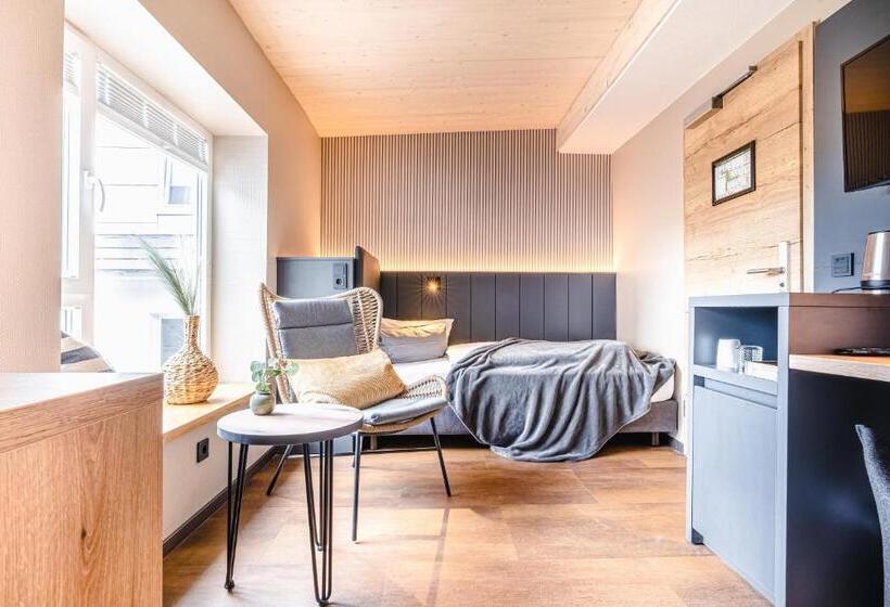 Номер Стандарт Индивидуальный, Arthotel Bakker