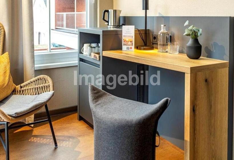Номер Стандарт Индивидуальный, Arthotel Bakker
