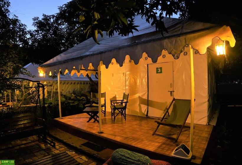 Standard Tent, Gir Pride Resort