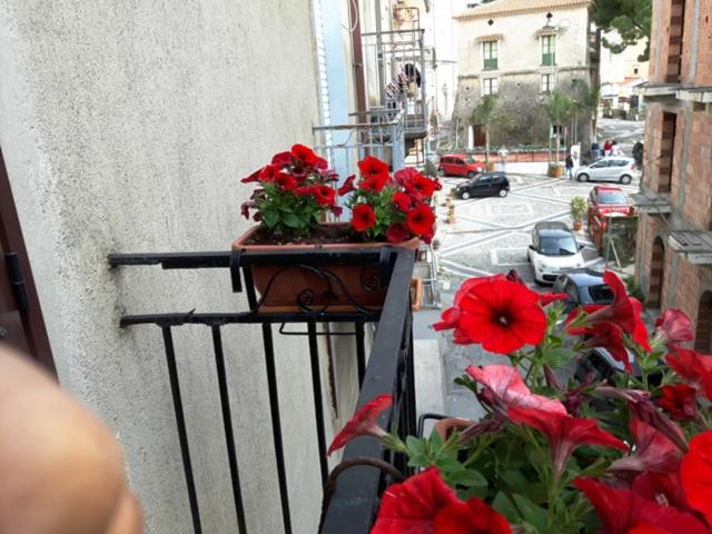 Четырехместный Номер Стандарт, La Marinella