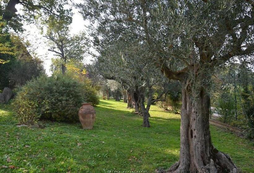 استودیو استاندارد با چشم‌انداز استخر, Casale Il Cerqueto