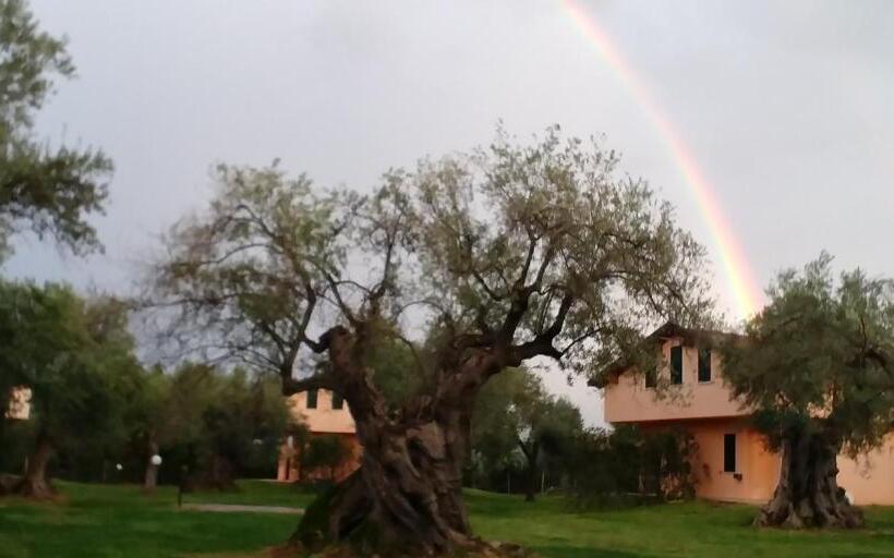 Номер Стандарт Вид на Сад, La Piana Degli Ulivi