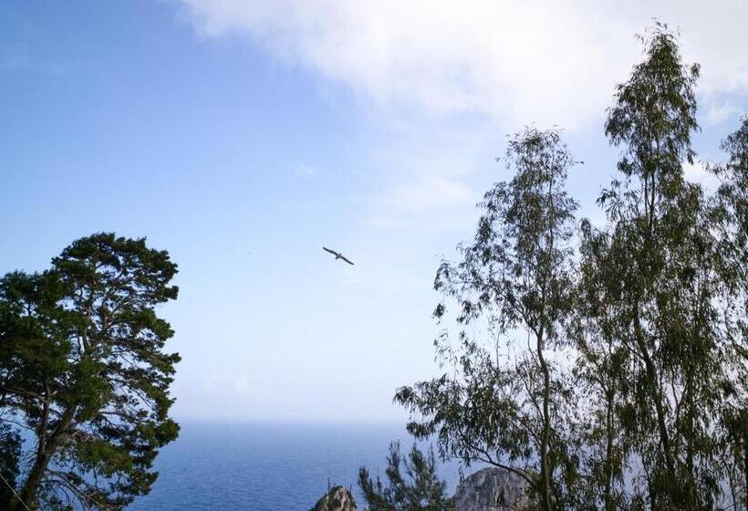 Люкс Кровать Кинг, Villacore Capri
