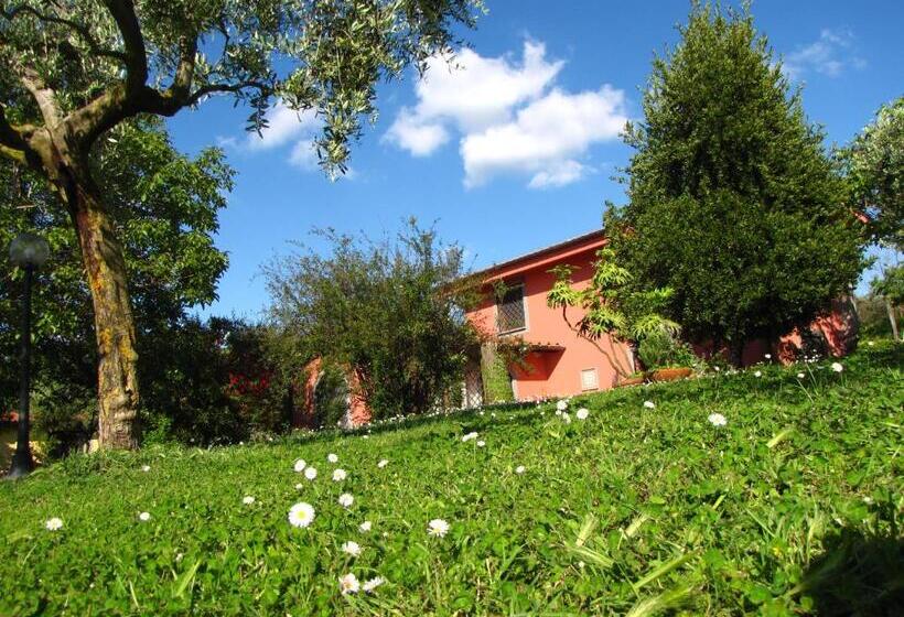Номер Стандарт, B&b Ai Glicini   Castelli Romani