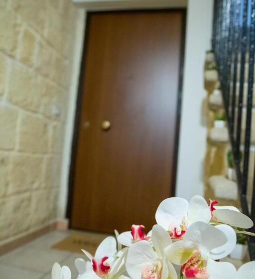 اتاق لوکس چهار تخته, Cittadella28