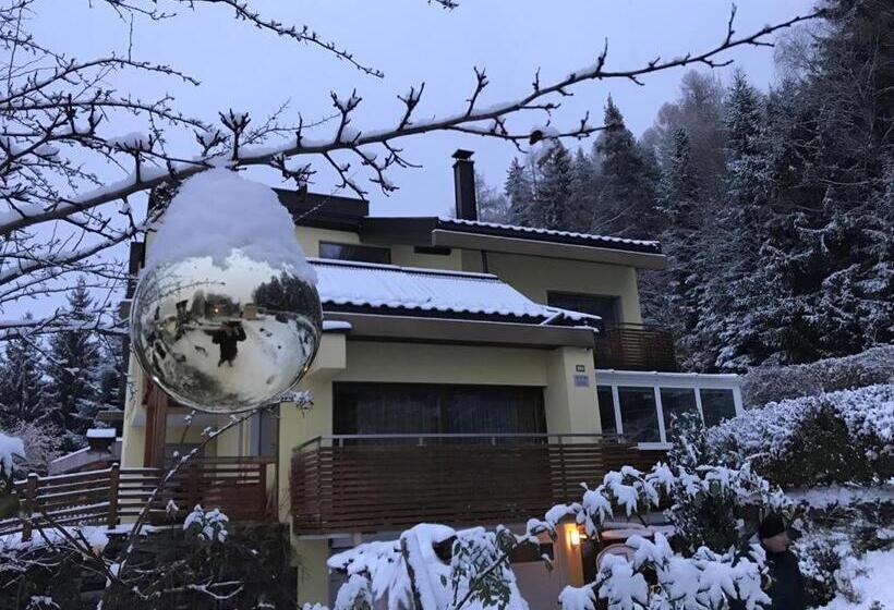Номер Стандарт с Балконом, Haus Lasaun