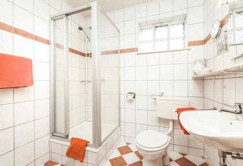 Номер Стандарт Индивидуальный, Genusshotel Hohenbogen