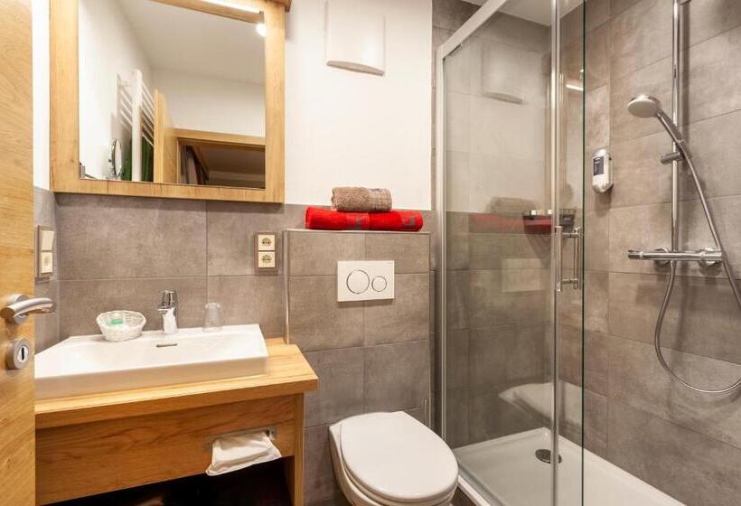 Номер Deluxe Одноместный, Genusshotel Hohenbogen