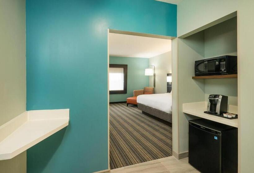 Люкс Кровать Кинг, Holiday Inn Express & Suites Greenville Se   Simpsonville, An Ihg