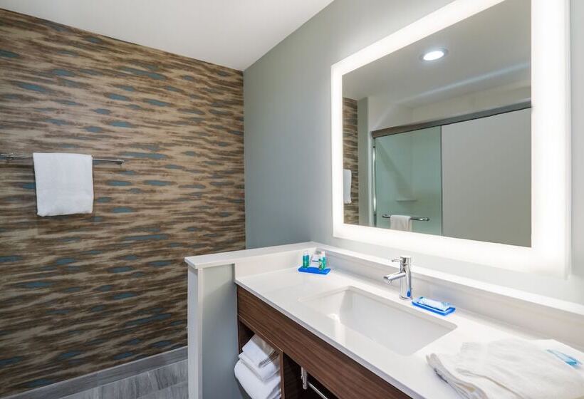 Люкс Адаптированный для Инвалидов, Holiday Inn Express & Suites Greenville Se   Simpsonville, An Ihg