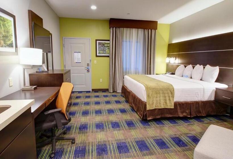 스탠다드 룸 킹사이즈 침대, Days Inn & Suites By Wyndham Port Arthur