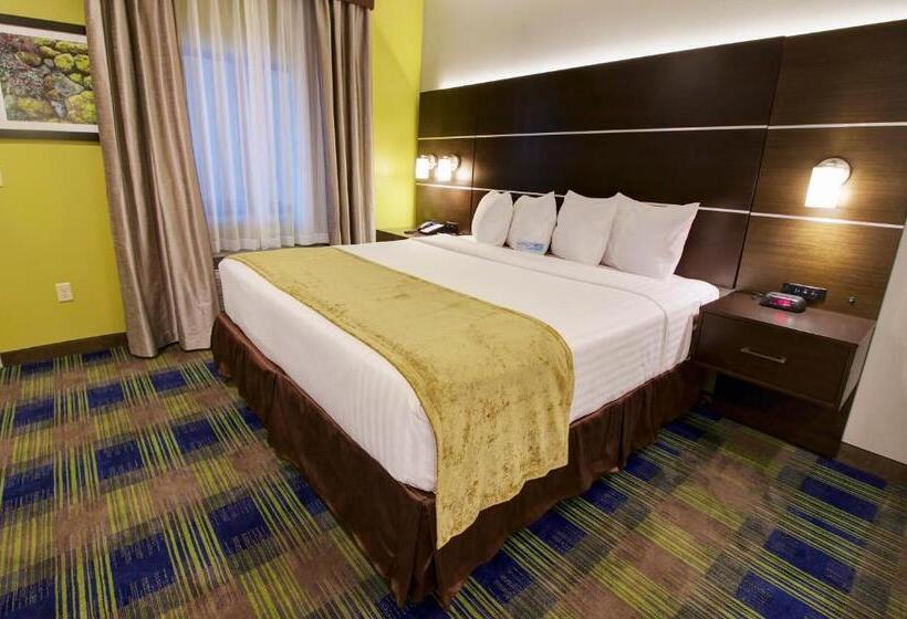 장애인을 위한 킹사이즈 침대 스탠다드 룸, Days Inn & Suites By Wyndham Port Arthur