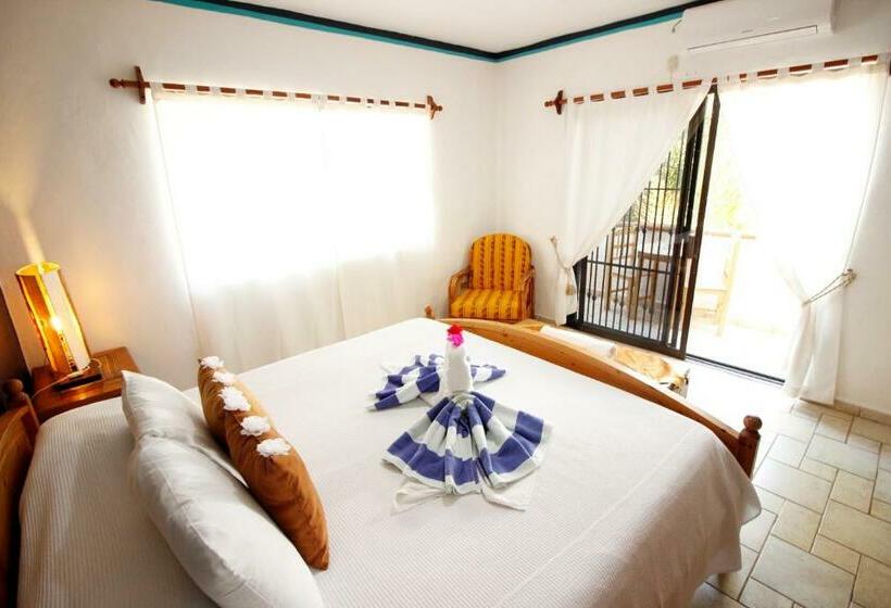 اتاق لوکس, Maya Vacanze Playa Alegria