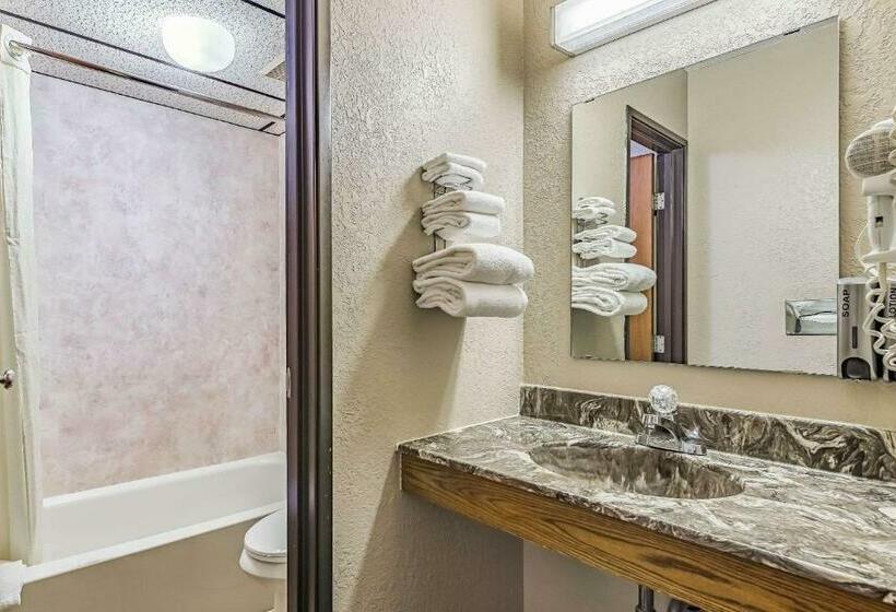 Номер Стандарт, Rodeway Inn