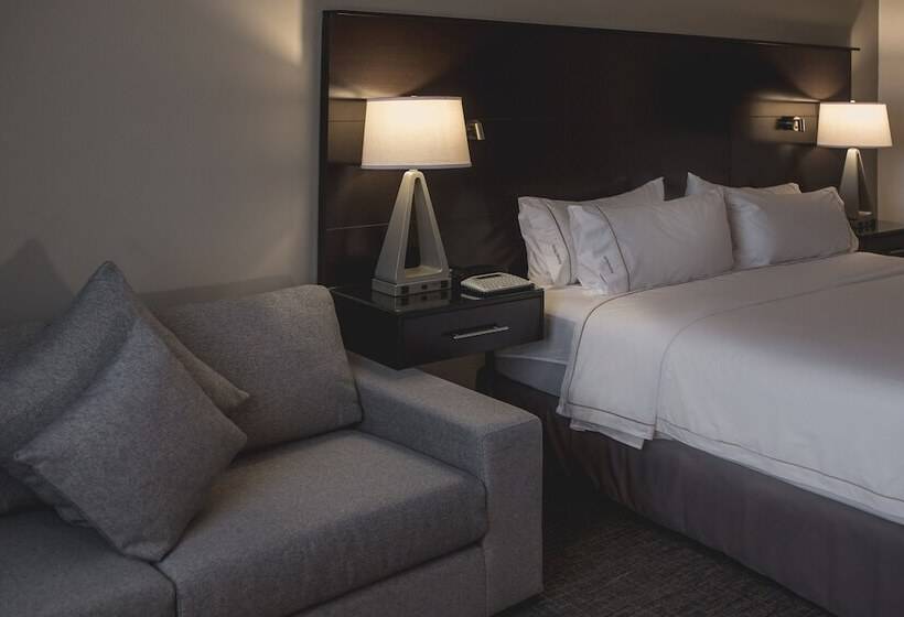 套房, Holiday Inn Express & Suites Silao Aeropuerto Terminal, An Ihg