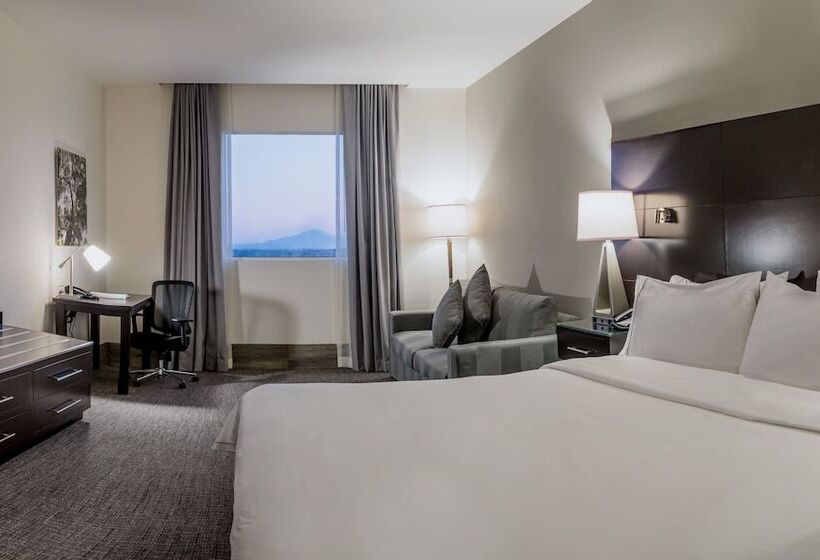 套房, Holiday Inn Express & Suites Silao Aeropuerto Terminal, An Ihg